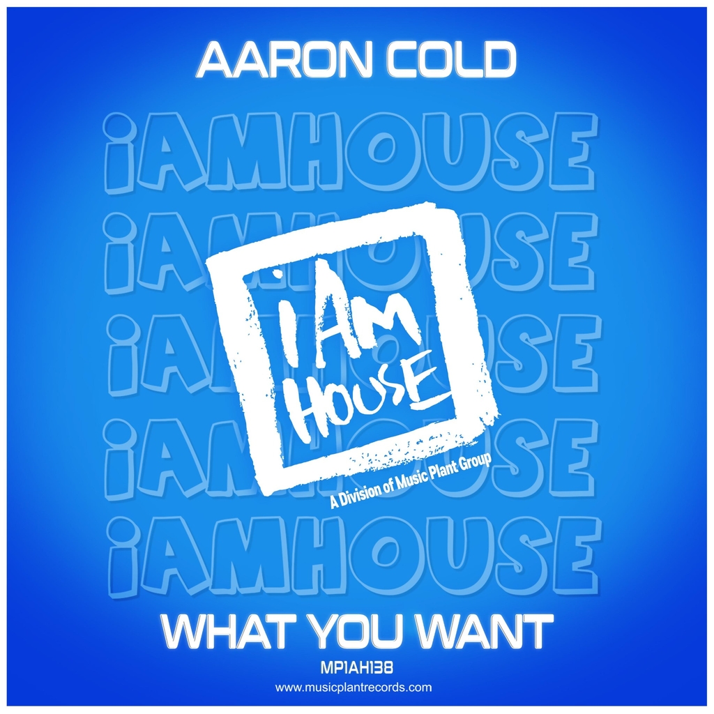 What You Want single artwork