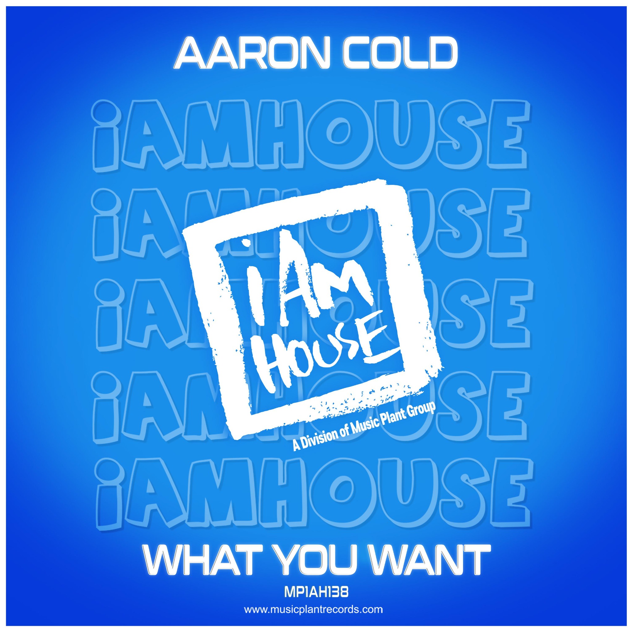 What You Want single artwork